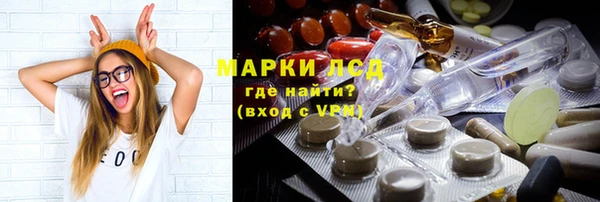 ГАЛЛЮЦИНОГЕННЫЕ ГРИБЫ Карталы