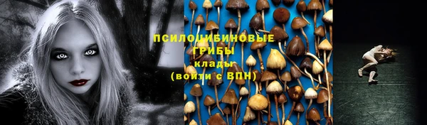 ГАЛЛЮЦИНОГЕННЫЕ ГРИБЫ Карталы