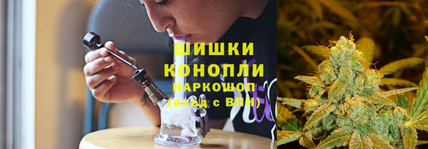 ГАЛЛЮЦИНОГЕННЫЕ ГРИБЫ Карталы