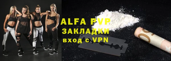 ГАЛЛЮЦИНОГЕННЫЕ ГРИБЫ Карталы