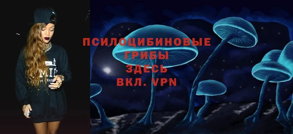ГАЛЛЮЦИНОГЕННЫЕ ГРИБЫ Карталы
