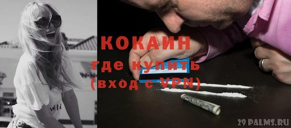 молекула духа Карпинск