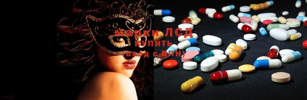 ГАЛЛЮЦИНОГЕННЫЕ ГРИБЫ Карталы