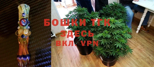 ГАЛЛЮЦИНОГЕННЫЕ ГРИБЫ Карталы