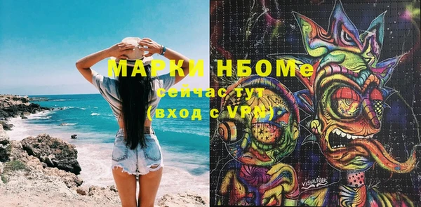 молекула духа Карпинск