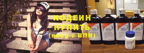 ГАЛЛЮЦИНОГЕННЫЕ ГРИБЫ Карталы
