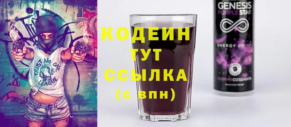 молекула духа Карпинск