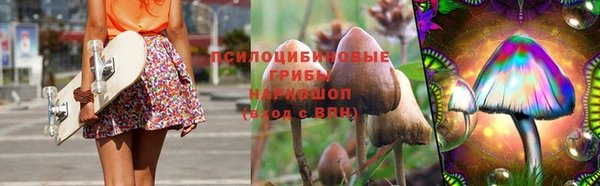 ГАЛЛЮЦИНОГЕННЫЕ ГРИБЫ Карталы