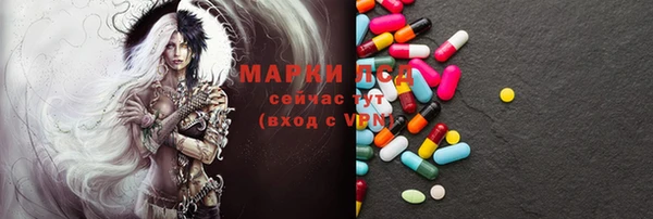 молекула духа Карпинск